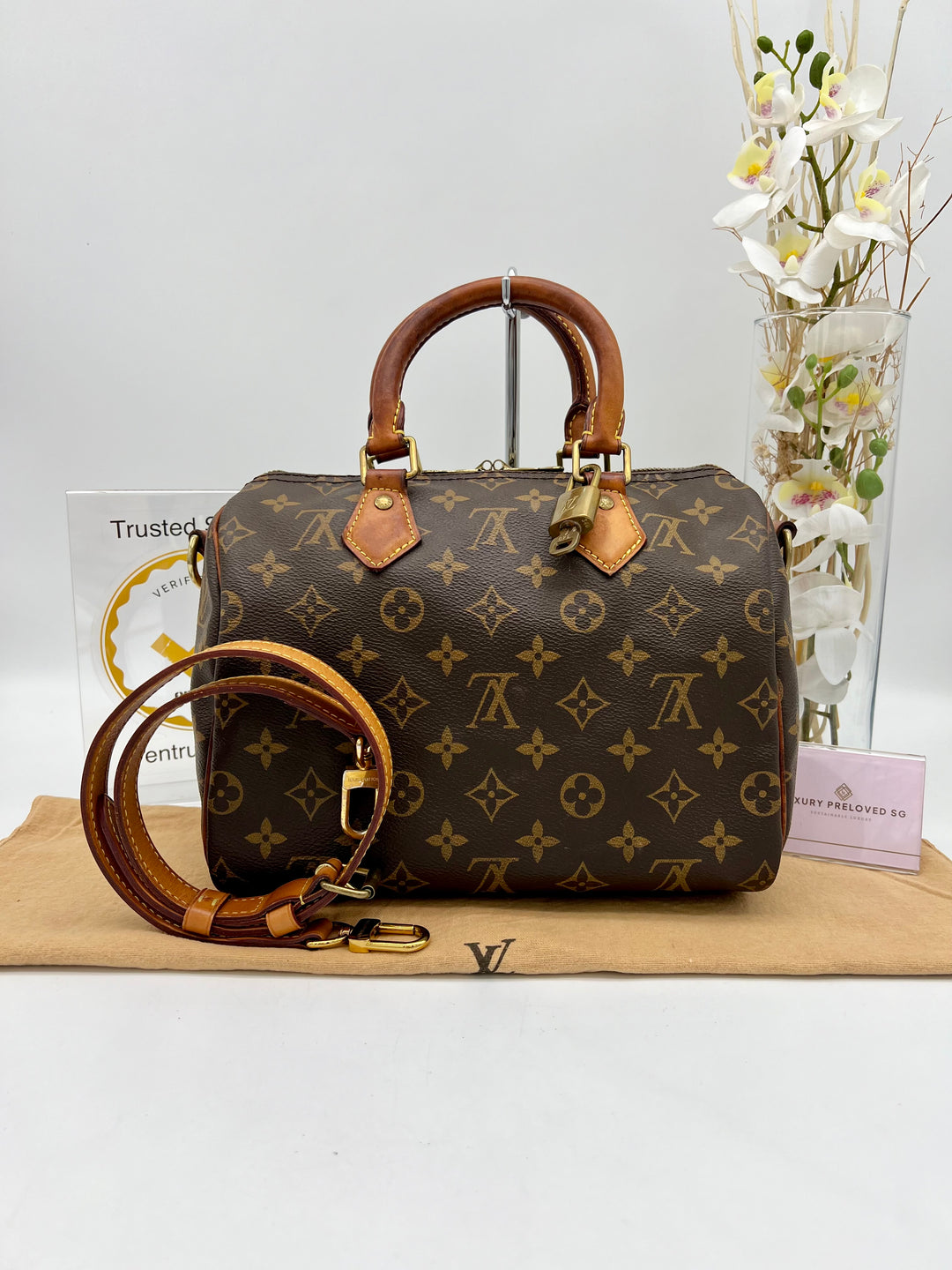 LOUIS VUITTON BANDOLIER SPEEDY 25 MONOGRAM