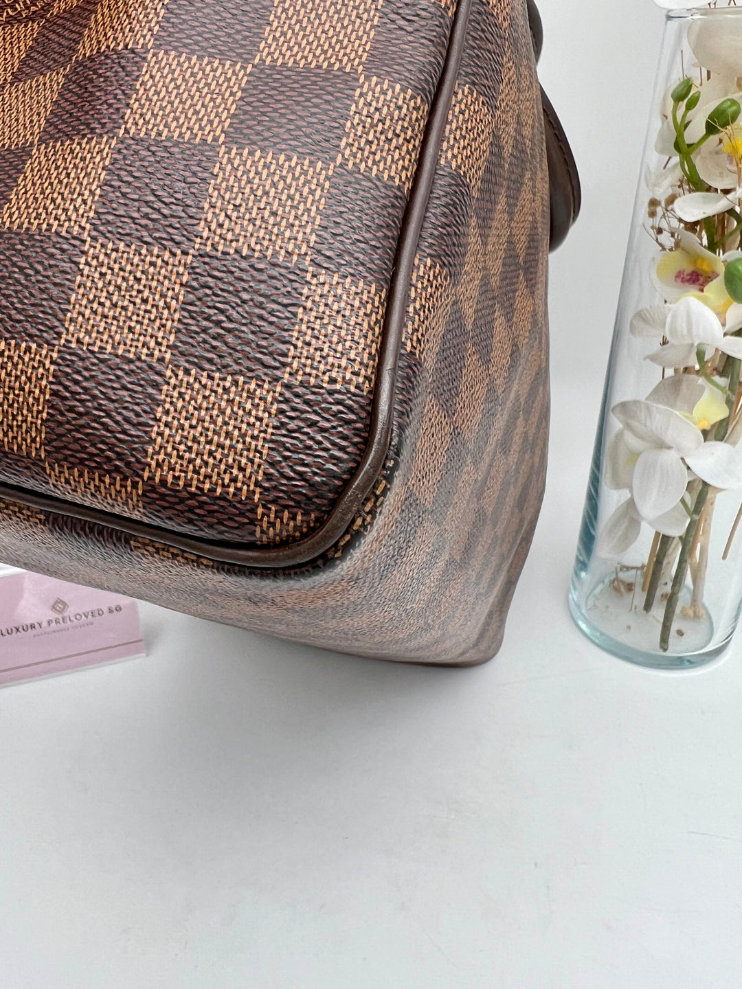 LOUIS VUITTON SPEEDY 30 DAMIER