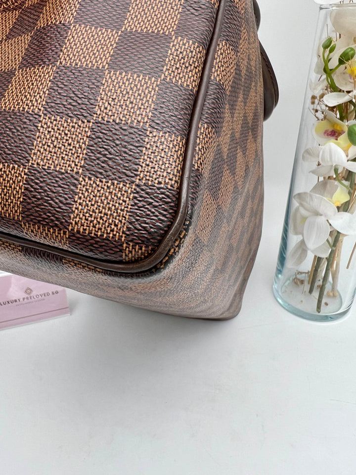 LOUIS VUITTON SPEEDY 30 DAMIER