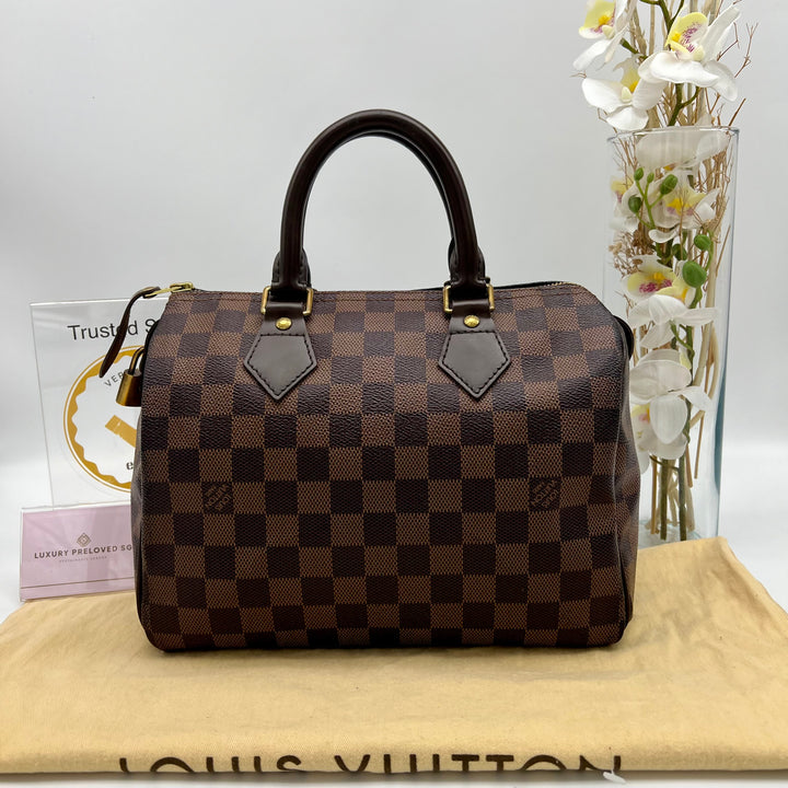 LOUIS VUITTON SPEEDY 25 DAMIER