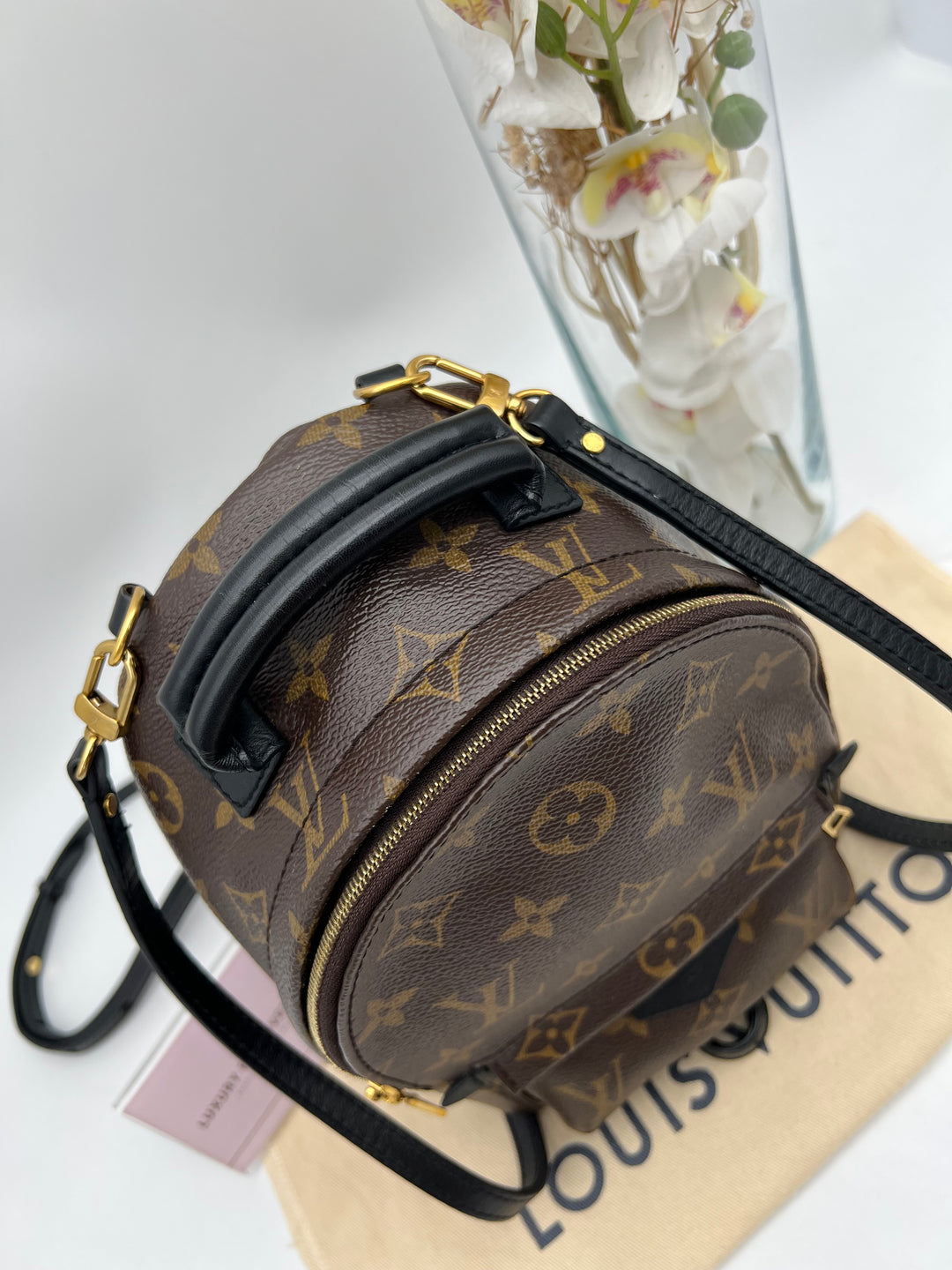 LOUIS VUITTON PALM SPRING MINI MONOGRAM