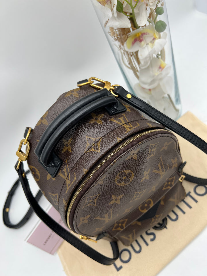 LOUIS VUITTON PALM SPRING MINI MONOGRAM