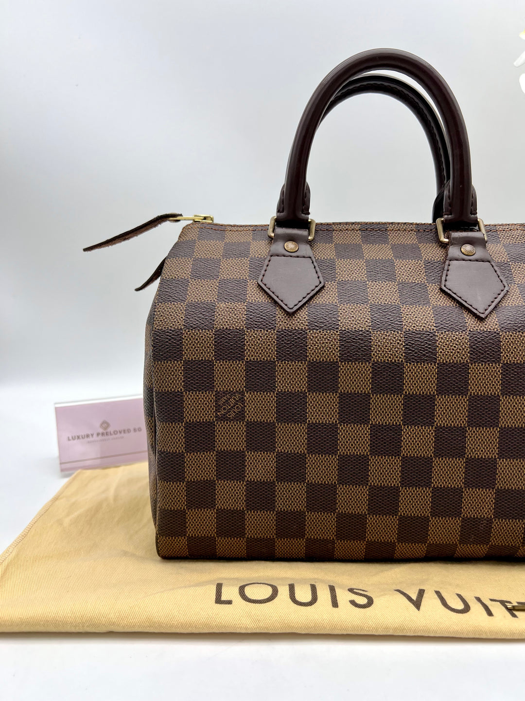 LOUIS VUITTON SPEEDY 25 DAMIER
