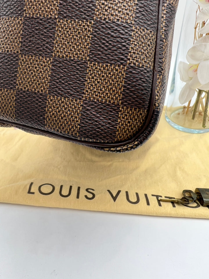 LOUIS VUITTON SPEEDY 25 DAMIER