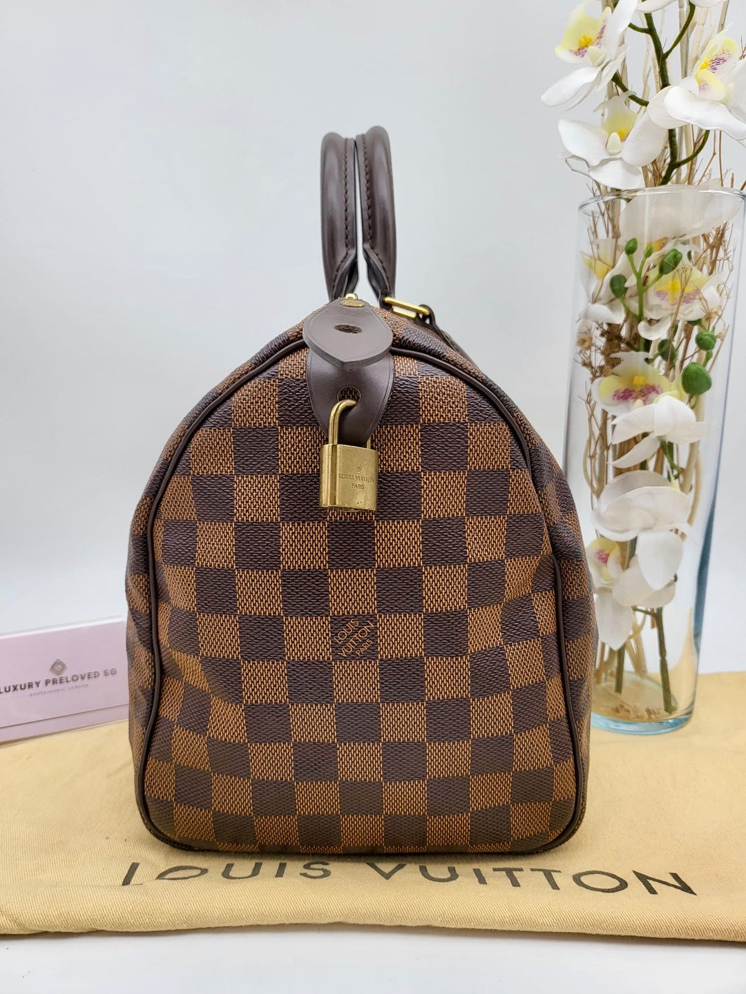 LOUIS VUITTON SPEEDY 30 DAMIER