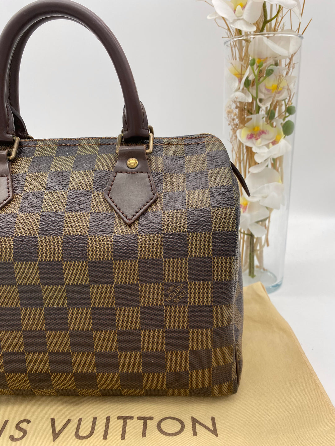 LOUIS VUITTON SPEEDY 25 DAMIER EBENE