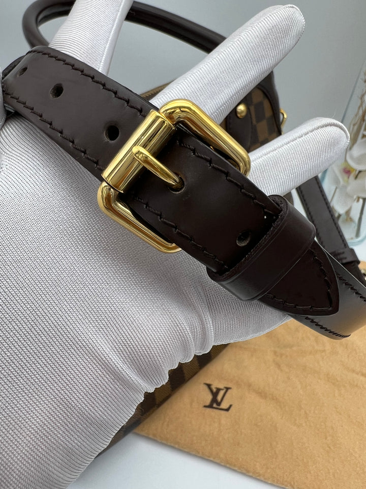 LOUIS VUITTON DAMIER TREVI PM