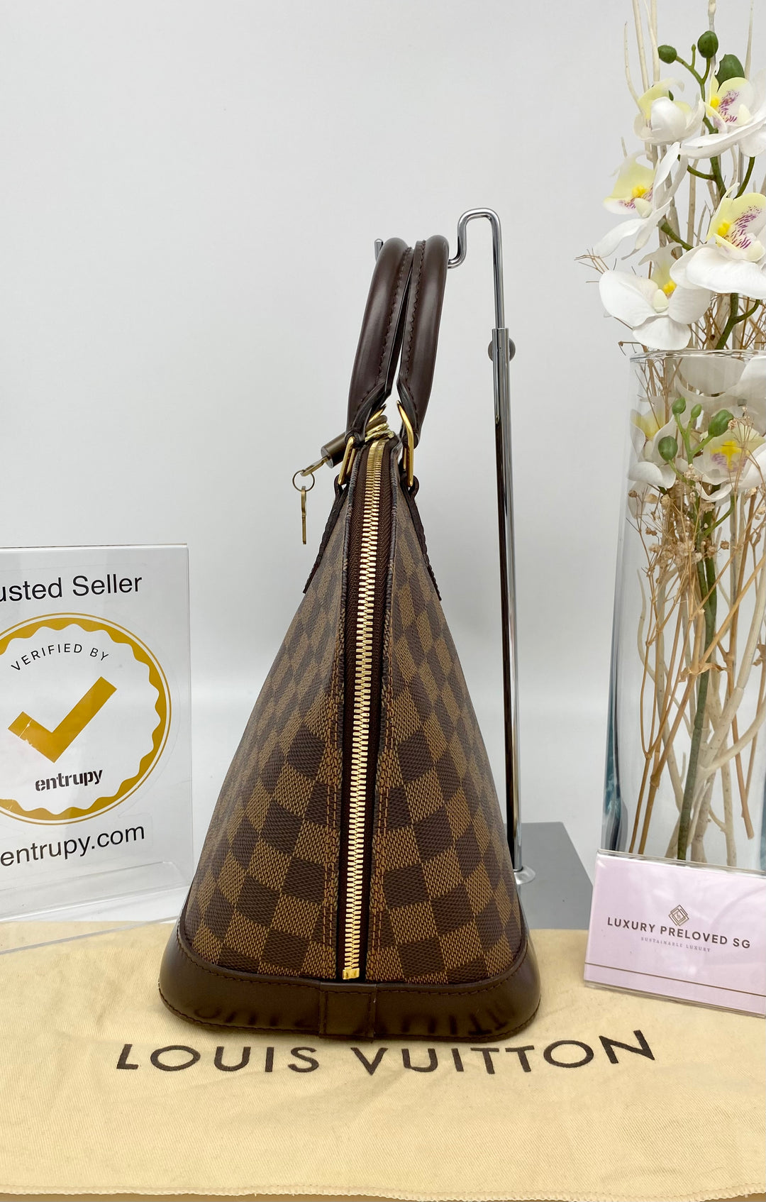 LOUIS VUITTON ALMA PM DAMIER EBENE