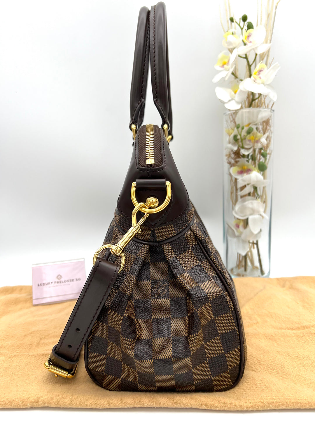LOUIS VUITTON DAMIER TREVI PM