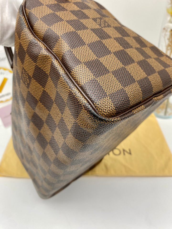 LOUIS VUITTON SPEEDY 25 DAMIER