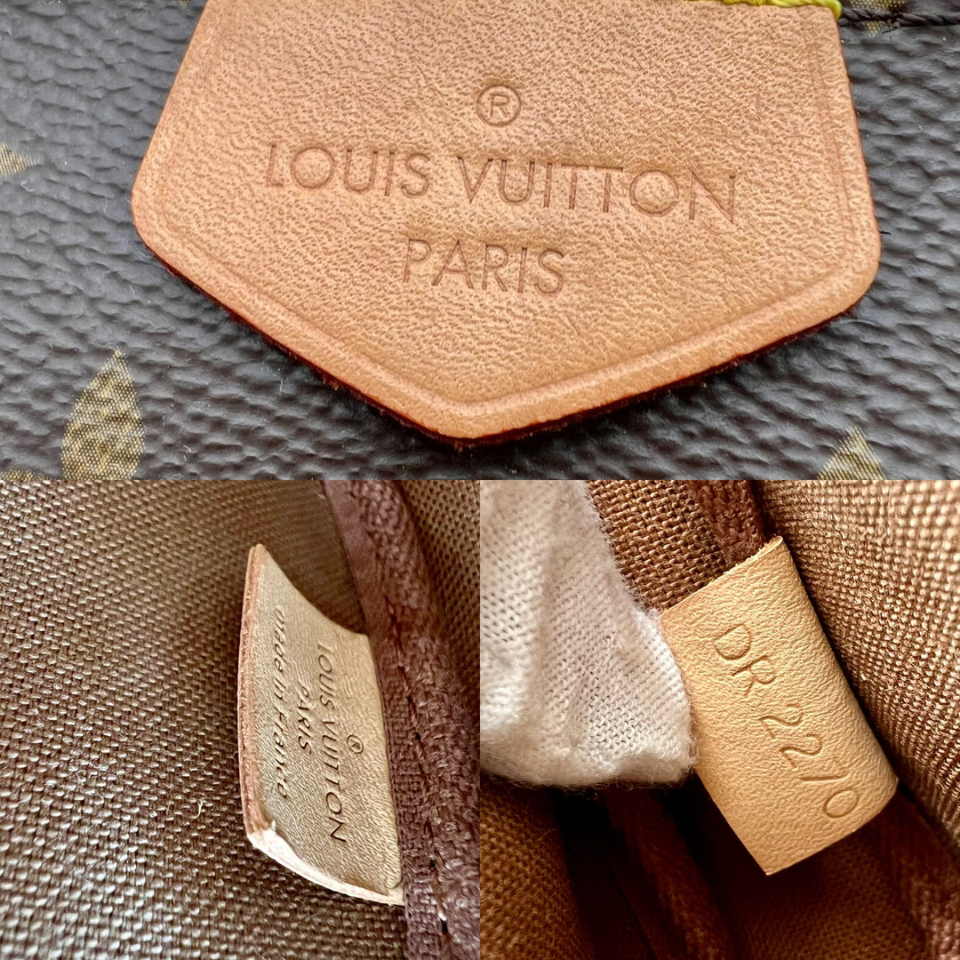 LOUIS VUITTON MULTI POCHETTE