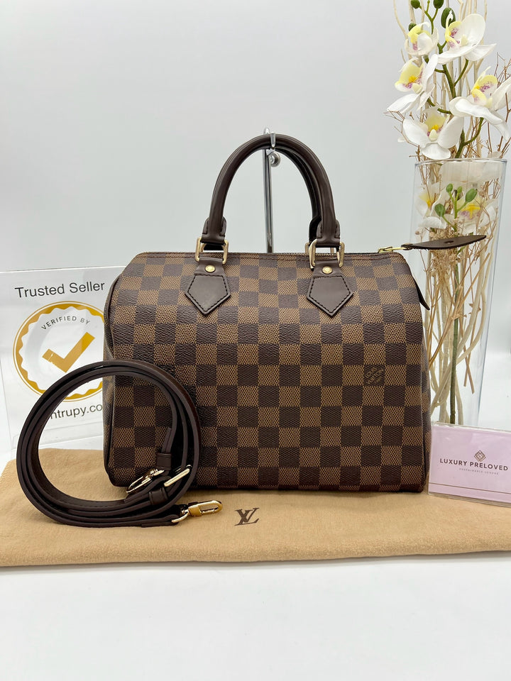 LOUIS VUITTON SPEEDY 25 DAMIER