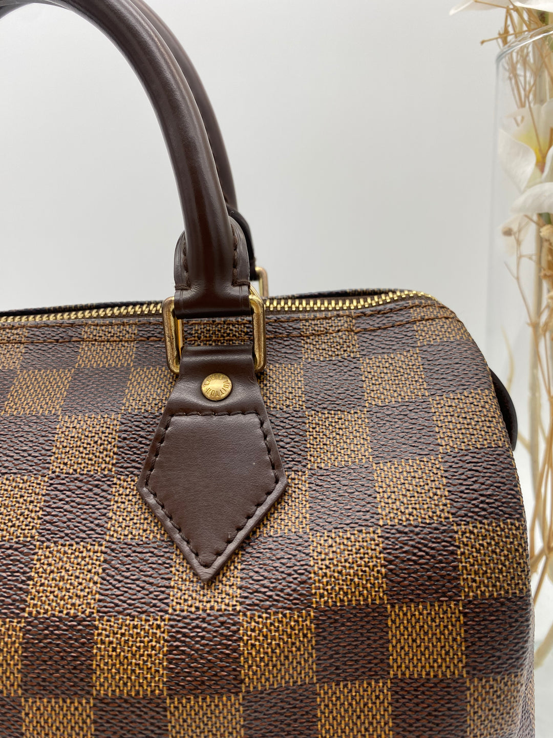 LOUIS VUITTON SPEEDY 25 DAMIER