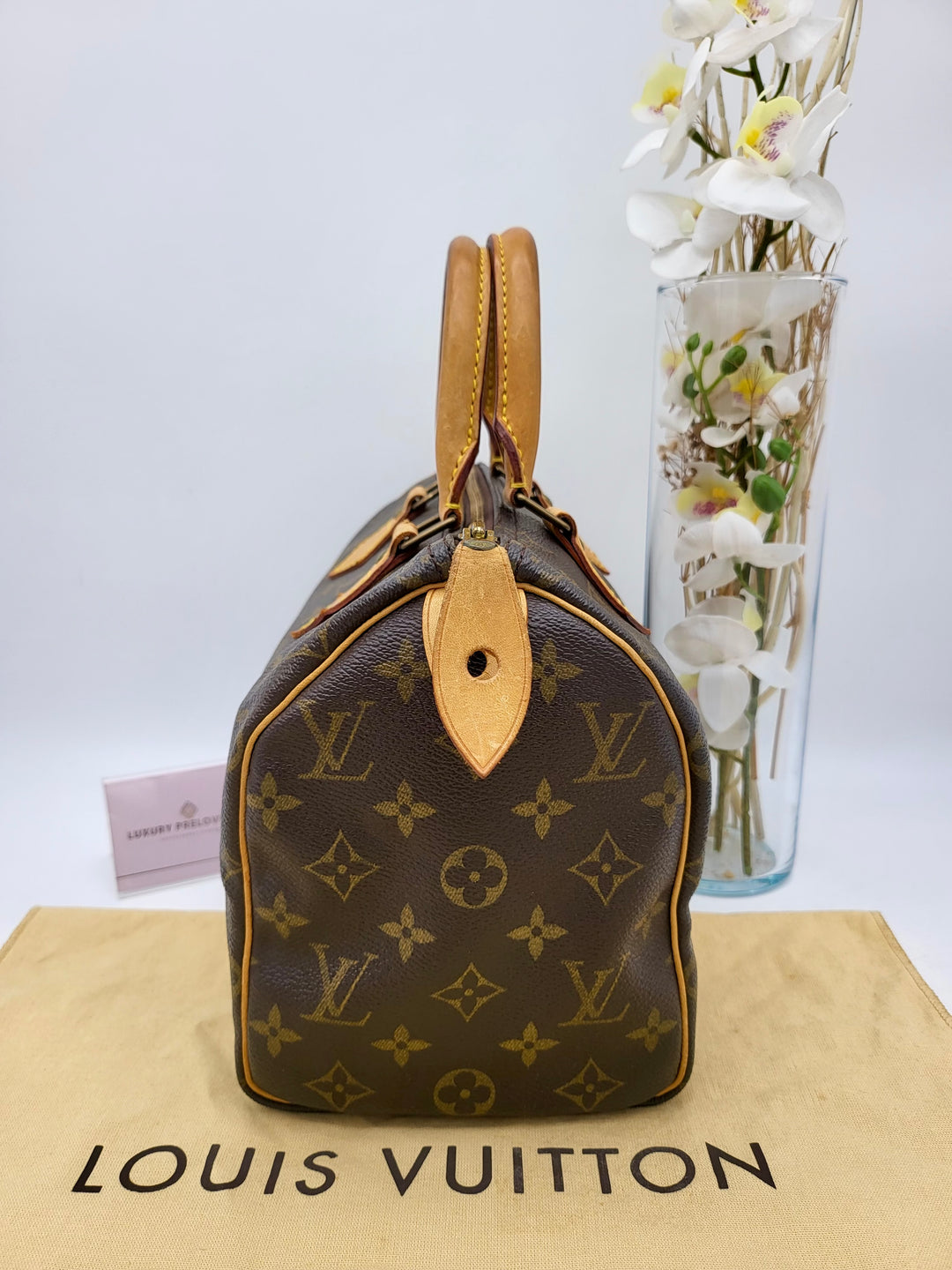 LOUIS VUITTON SPEEDY 25 MONOGRAM