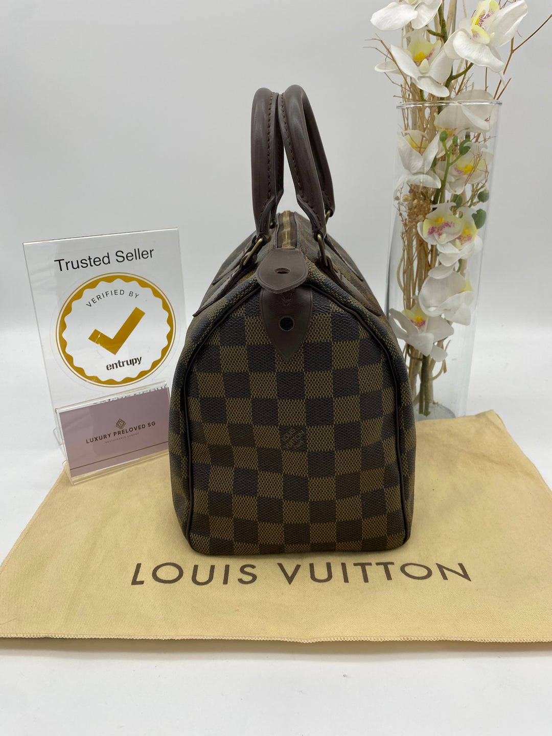 LOUIS VUITTON SPEEDY 25 DAMIER EBENE