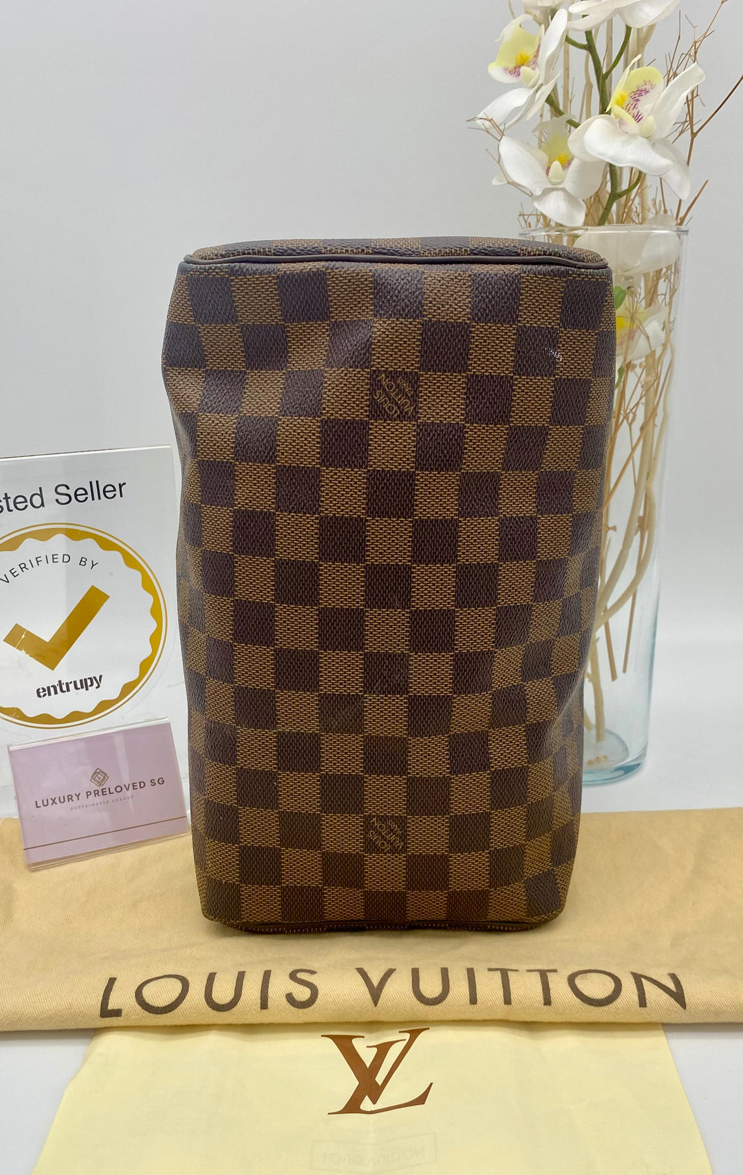 LOUIS VUITTON SPEEDY 25 DAMIER EBENE