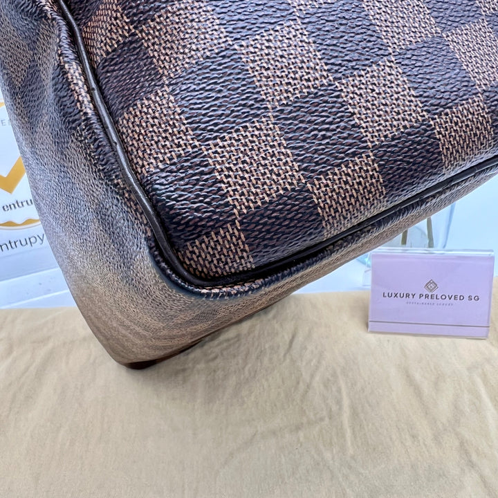 LOUIS VUITTON SPEEDY 25 DAMIER