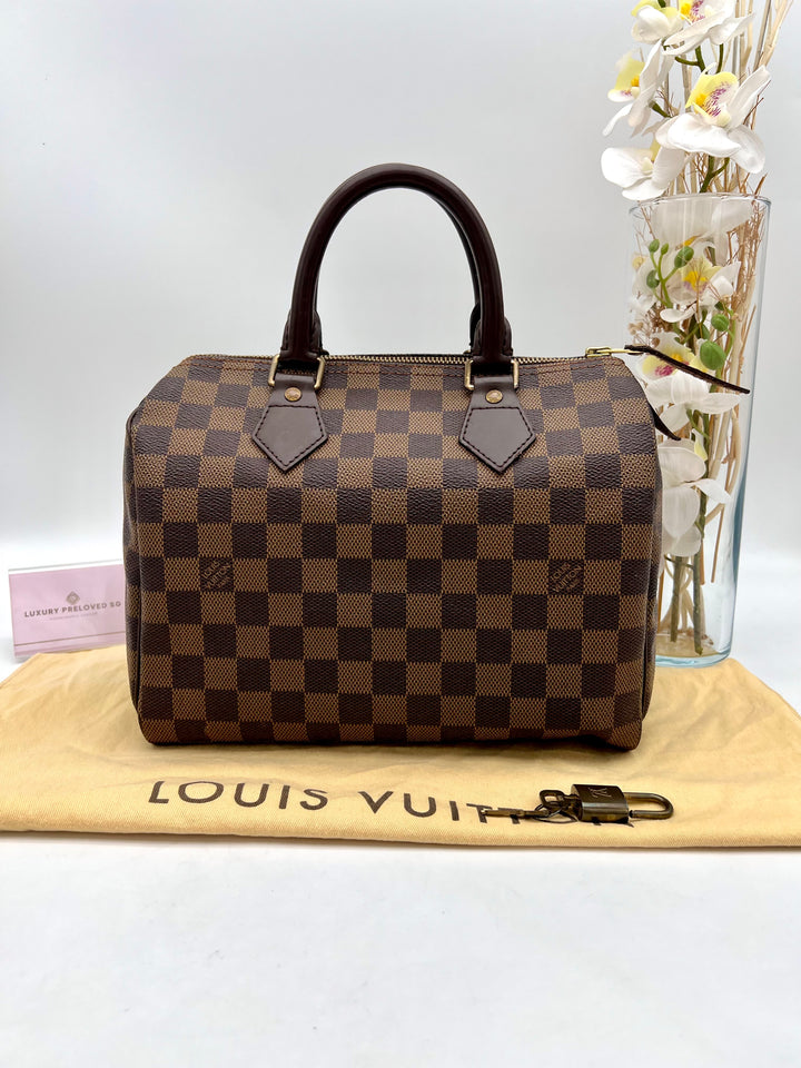 LOUIS VUITTON SPEEDY 25 DAMIER