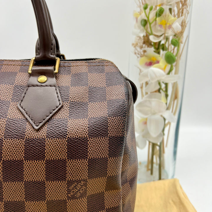 LOUIS VUITTON SPEEDY 25 DAMIER