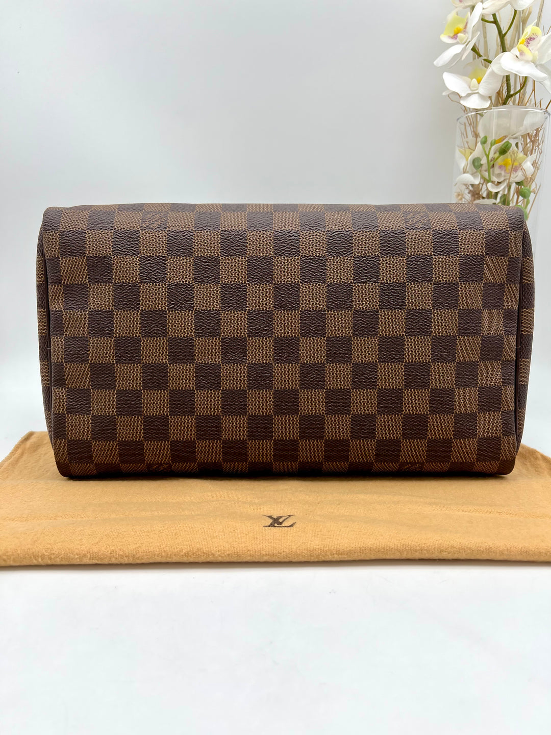 LOUIS VUITTON SPEEDY 30 DAMIER