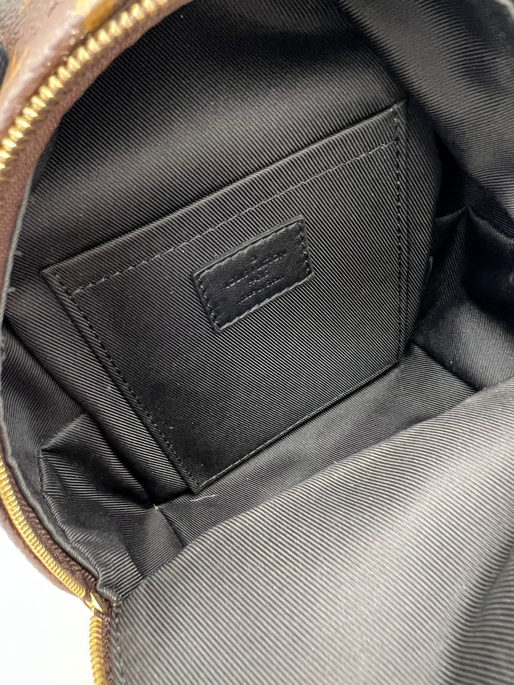 LOUIS VUITTON PALM SPRING MINI MONOGRAM