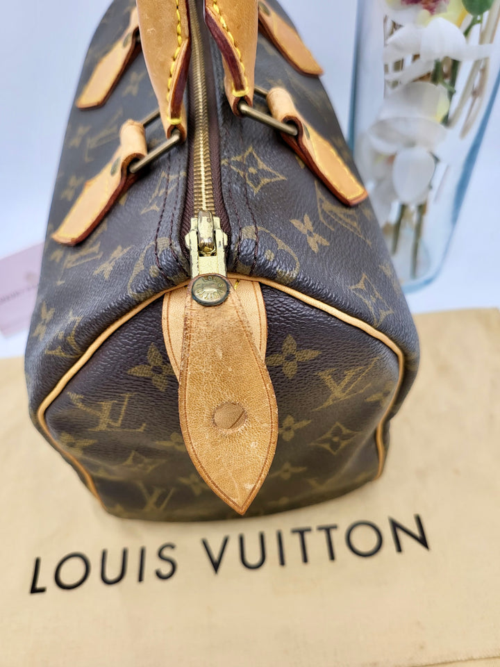 LOUIS VUITTON SPEEDY 25 MONOGRAM