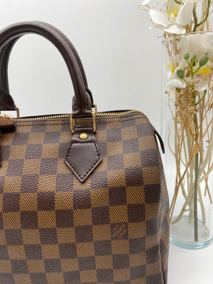 LOUIS VUITTON SPEEDY 25 DAMIER