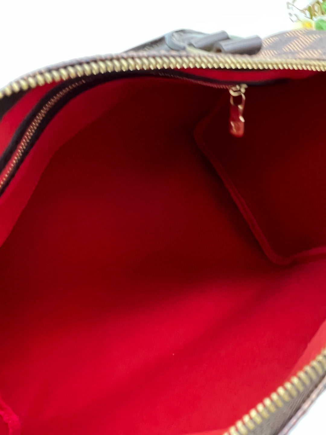LOUIS VUITTON SPEEDY 30 DAMIER