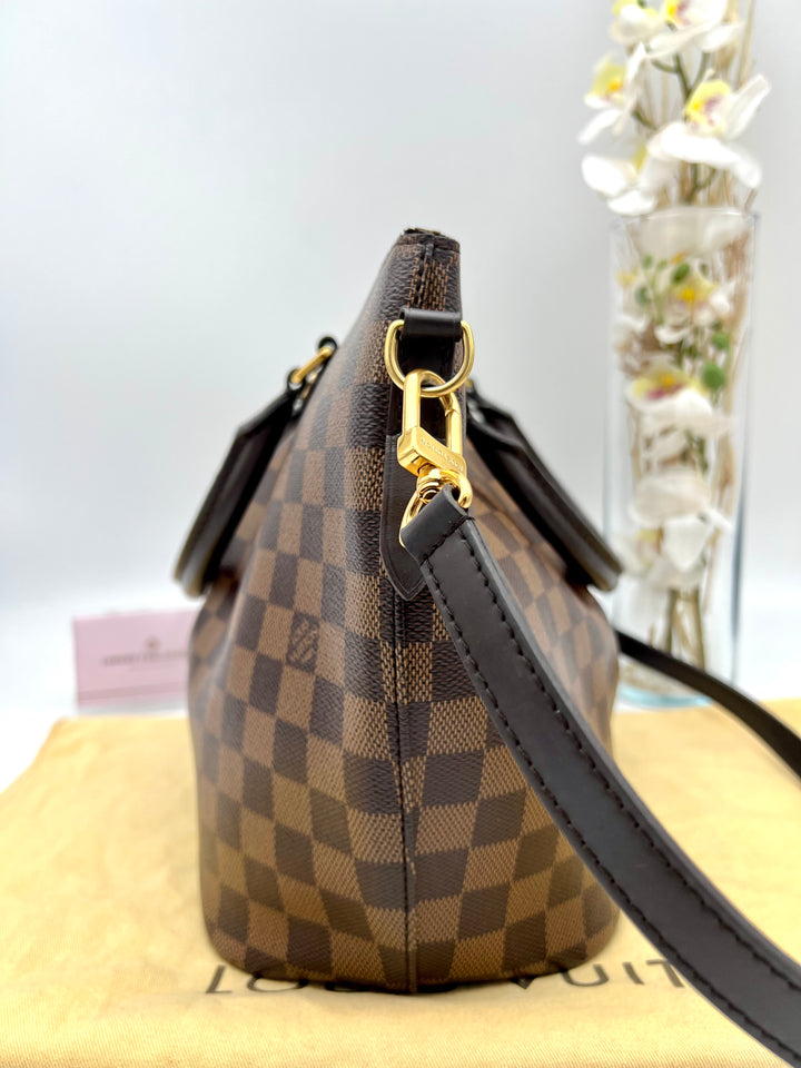 LOUIS VUITTON SIENA DAMIER EVENE PM