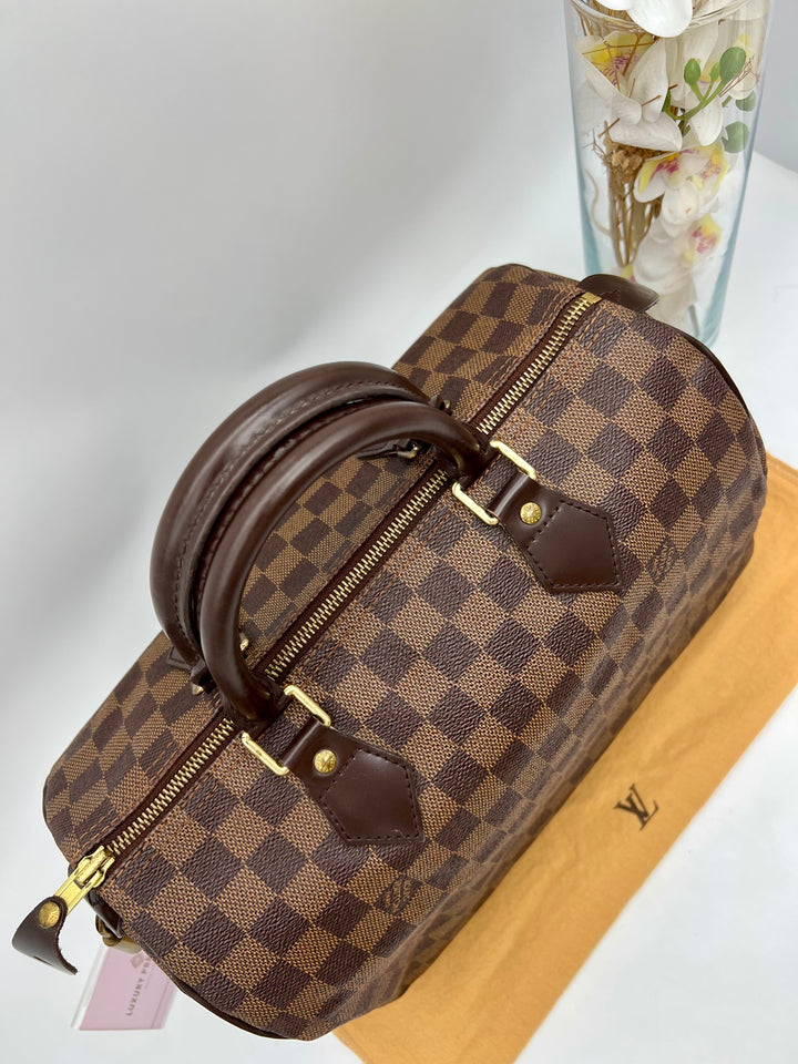 LOUIS VUITTON SPEEDY 30 DAMIER