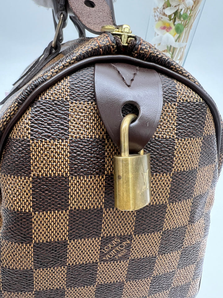 LOUIS VUITTON SPEEDY 25 DAMIER