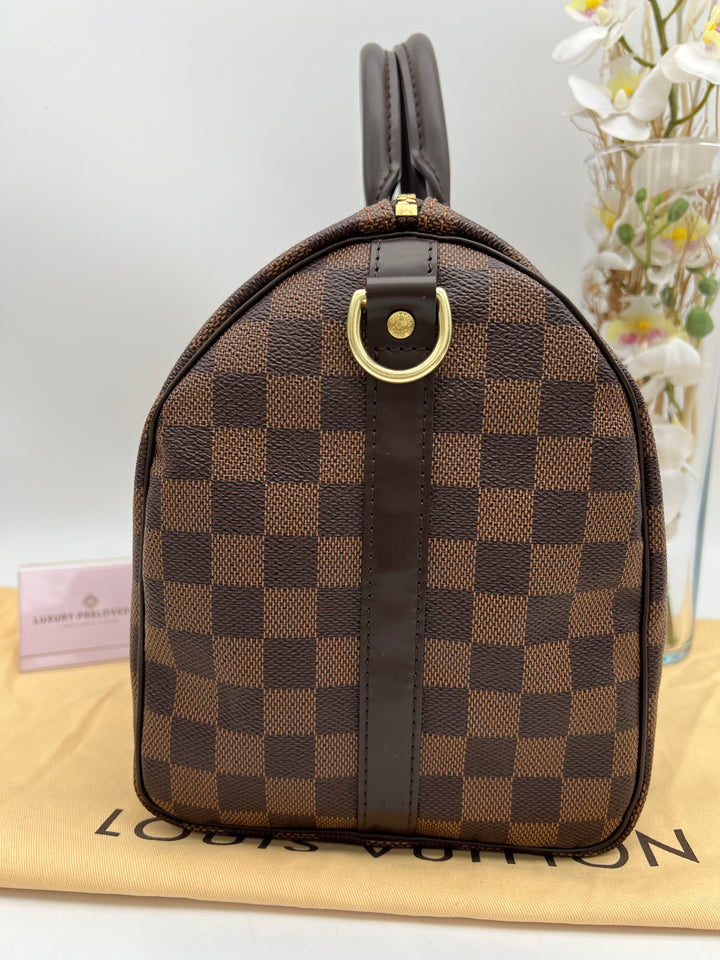 LOUIS VUITTON BANDOULIERE DAMIER EBENE