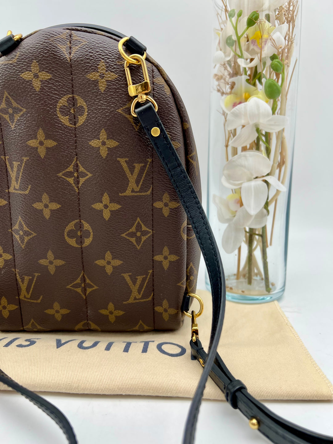 LOUIS VUITTON PALM SPRING MINI MONOGRAM