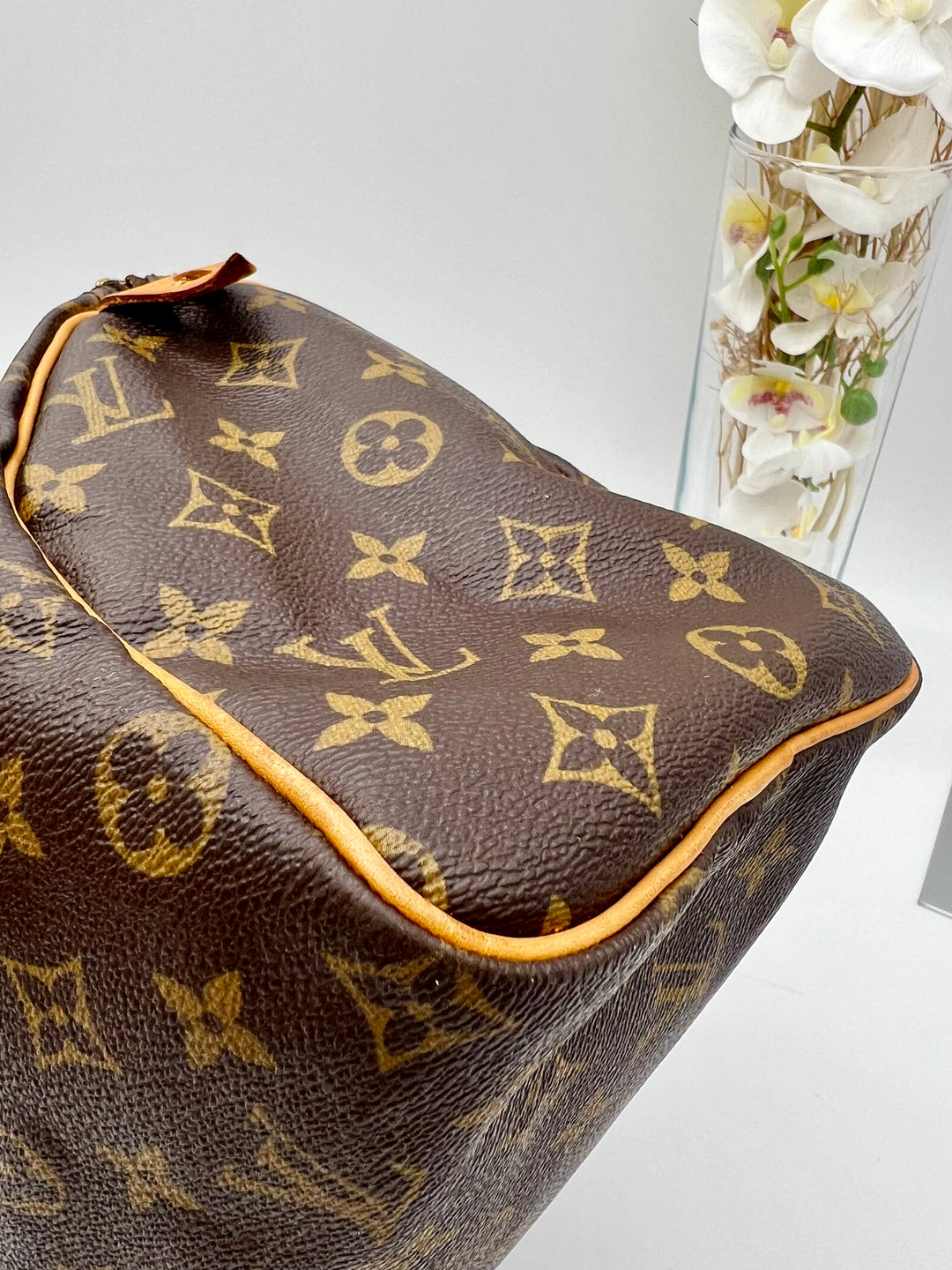 LOUIS VUITTON SPEEDY 25 MONOGRAM