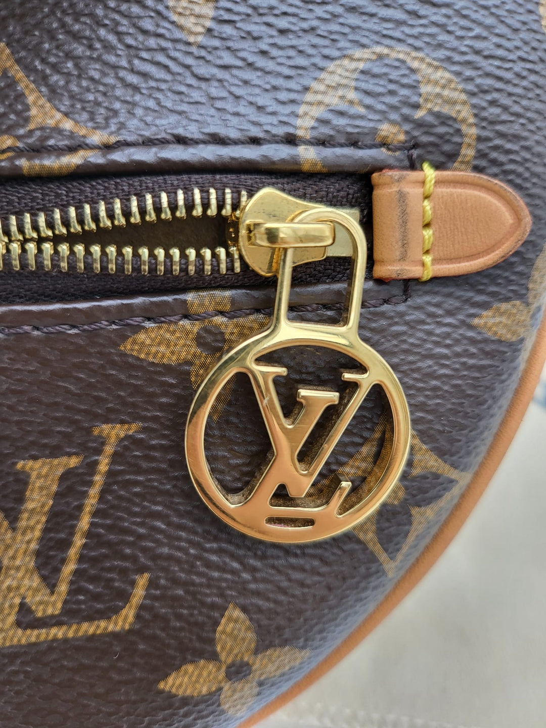 LOUIS VUITTON LOOP BAG