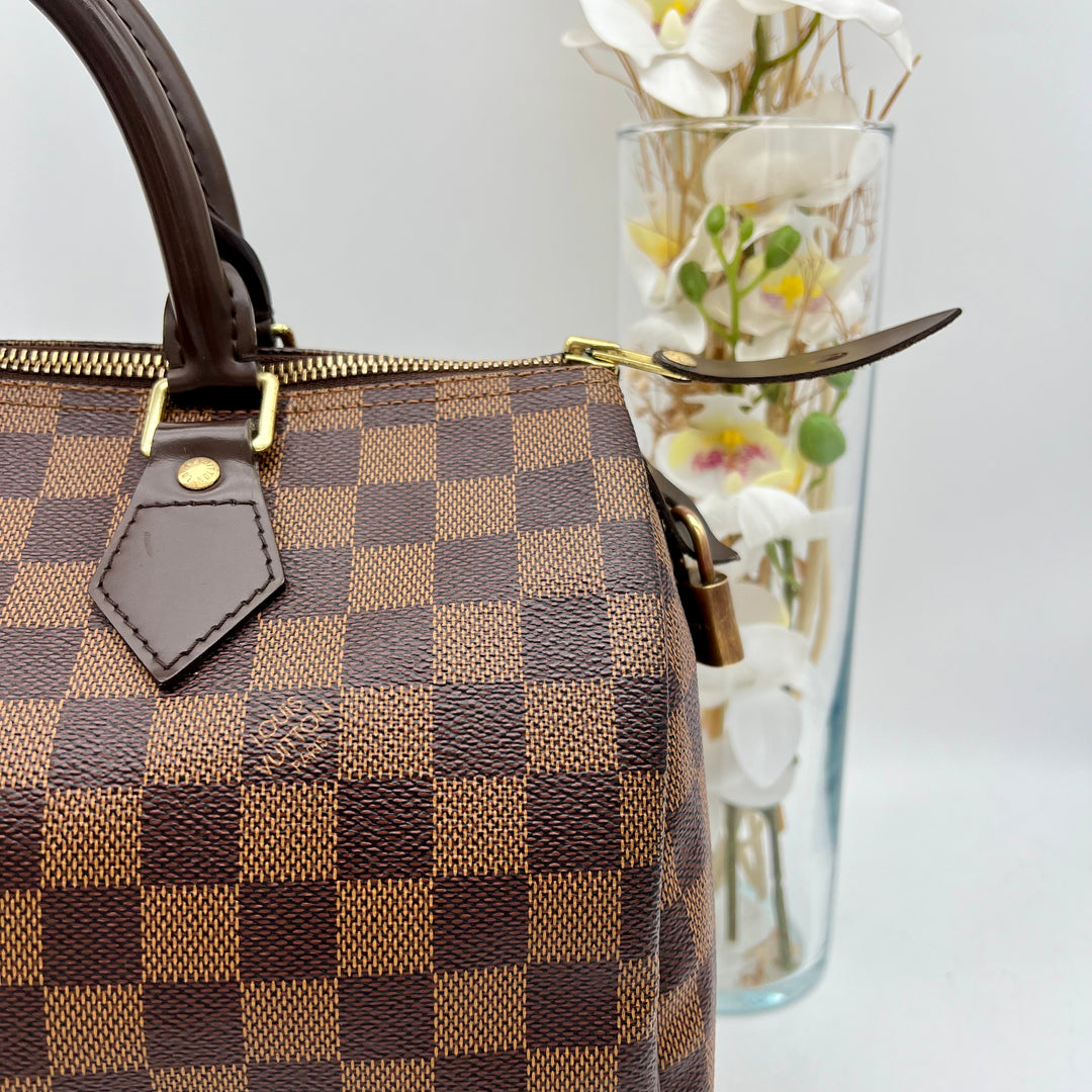 LOUIS VUITTON SPEEDY 30 DAMIER