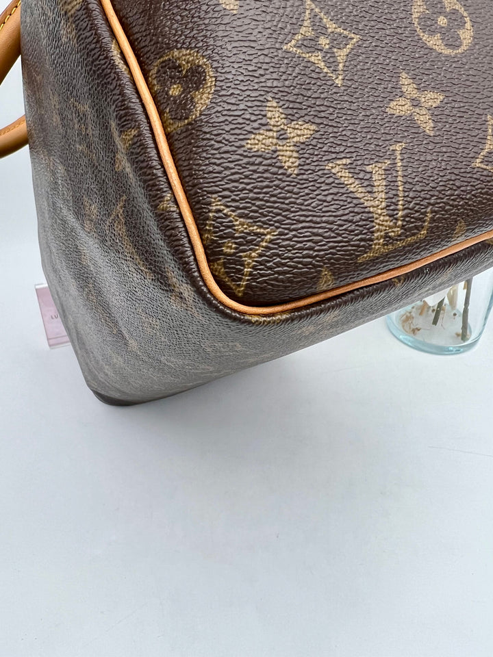 LOUIS VUITTON SPEEDY 30 MONOGRAM