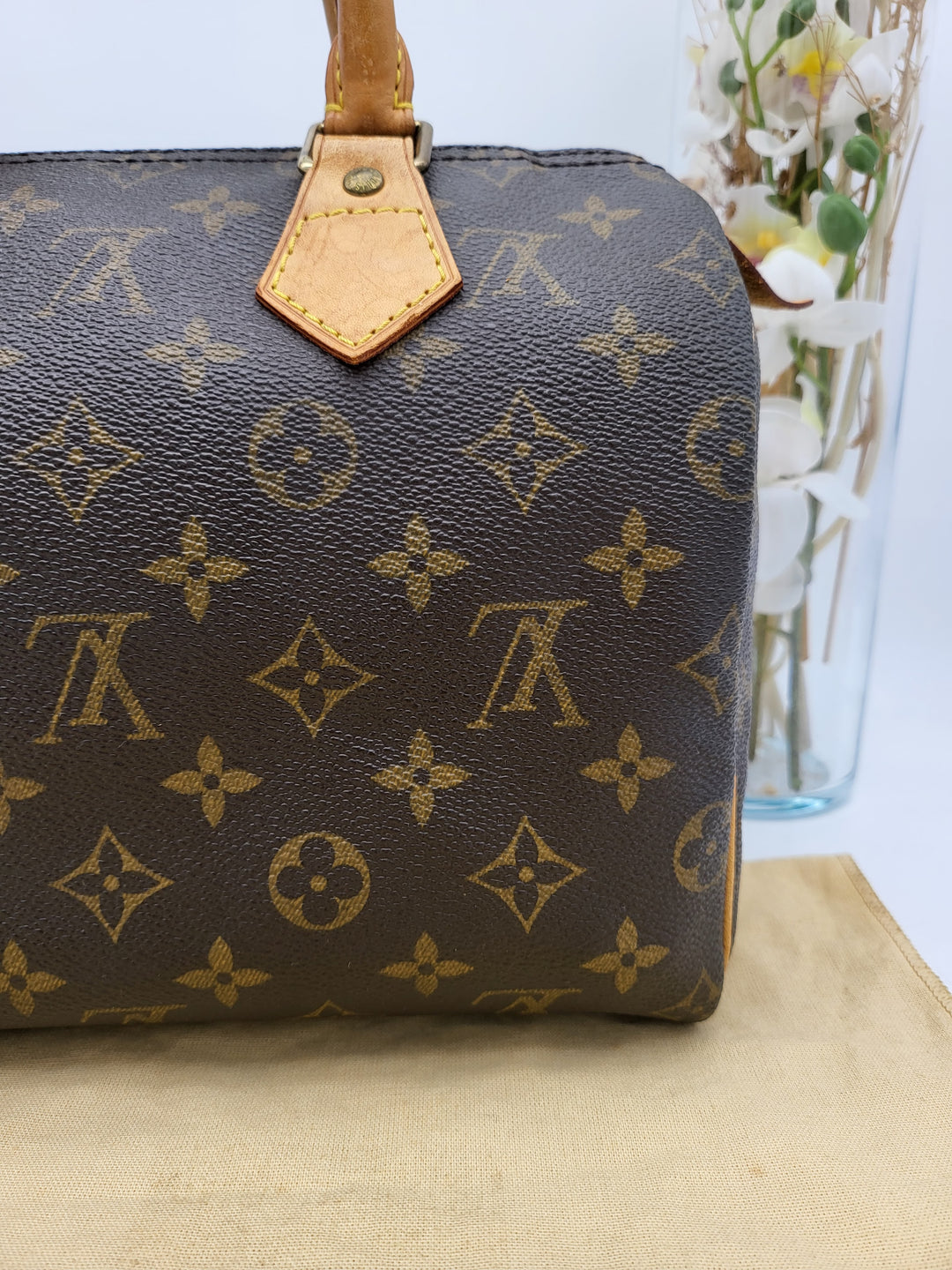 LOUIS VUITTON SPEEDY 25 MONOGRAM