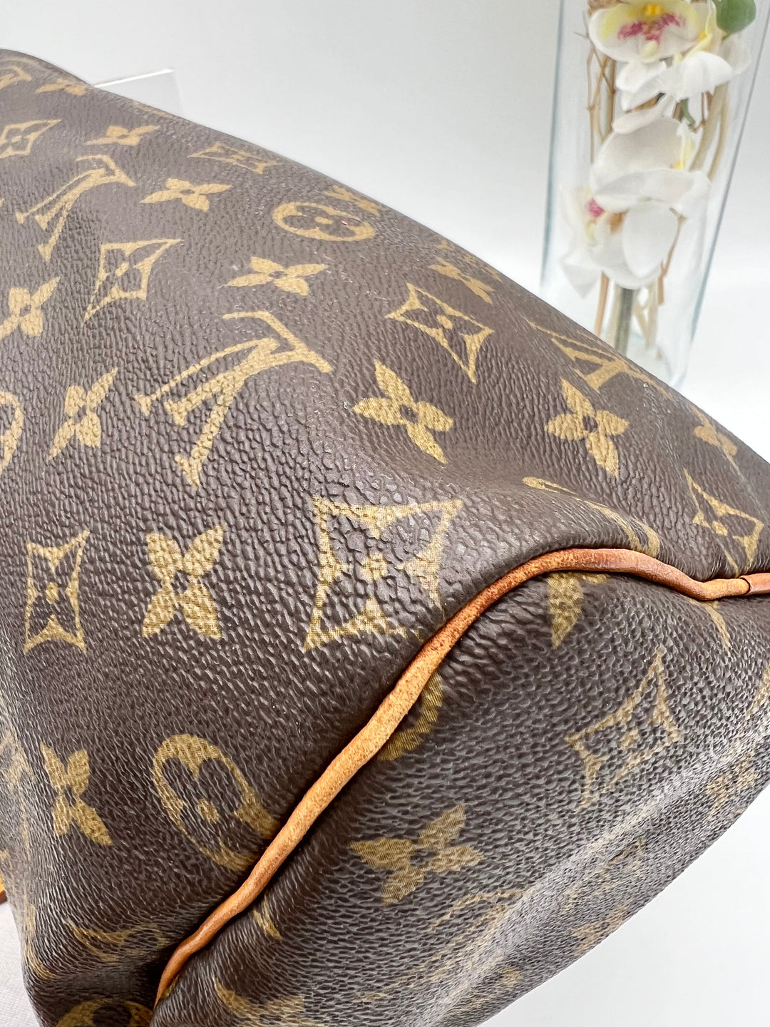 LOUIS VUITTON SPEEDY 25 MONOGRAM