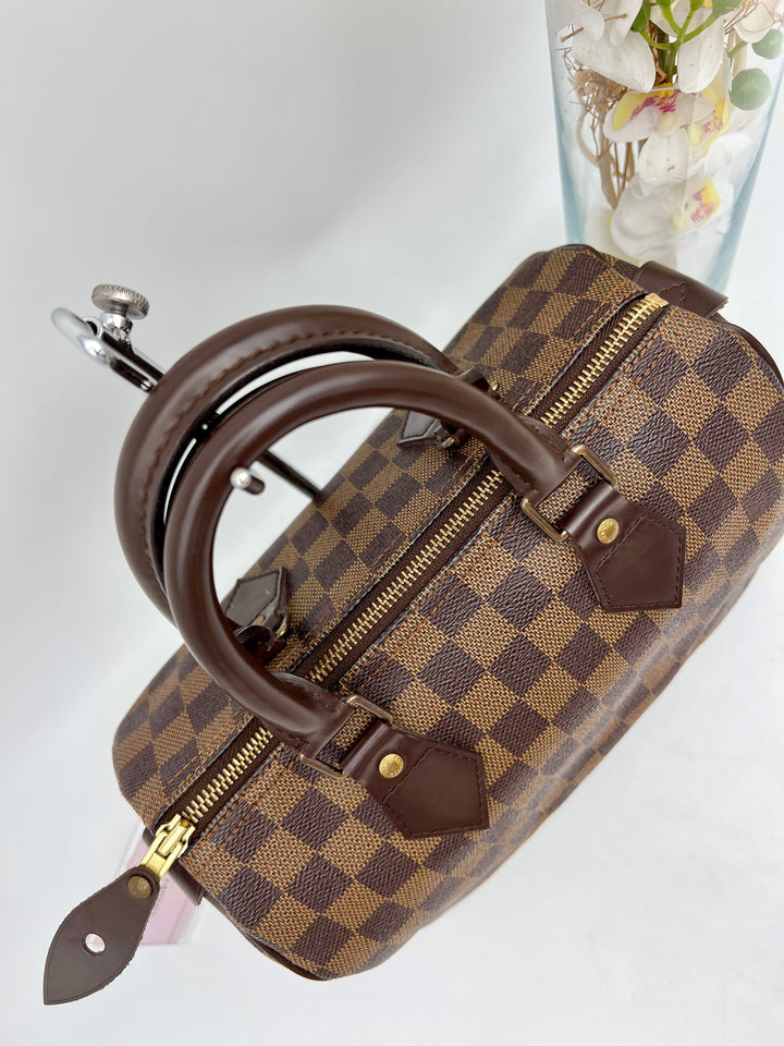 LOUIS VUITTON SPEEDY 25 DAMIER