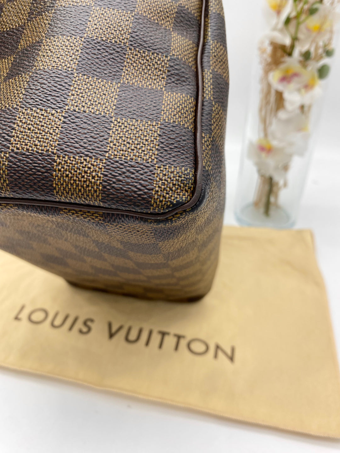 LOUIS VUITTON SPEEDY 25 DAMIER EBENE