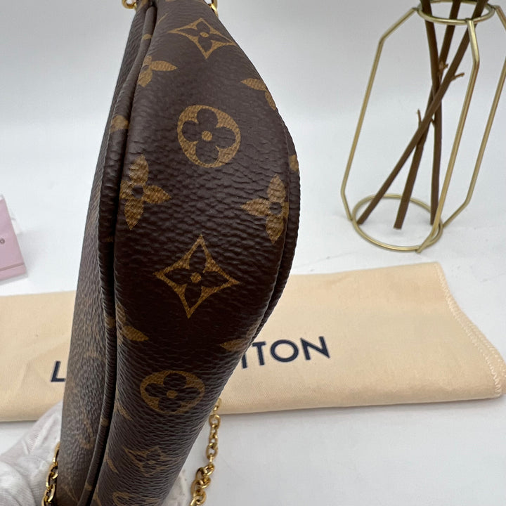 LOUIS VUITTON MULTI POCHETTE