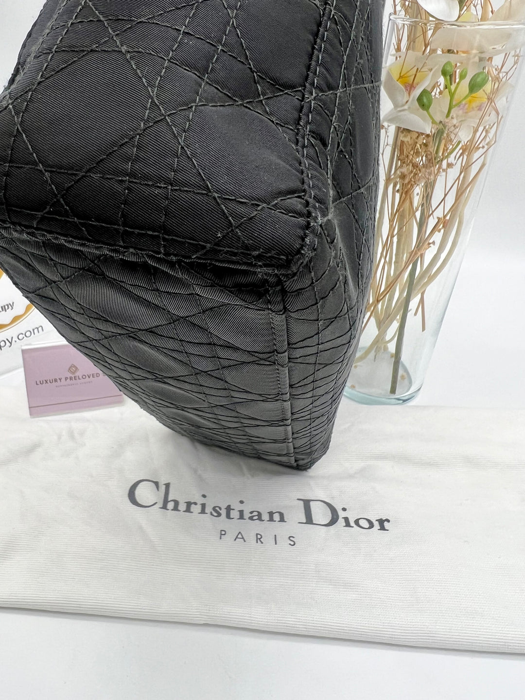 CHRISTIAN DIOR LADY DIOR CANVAS