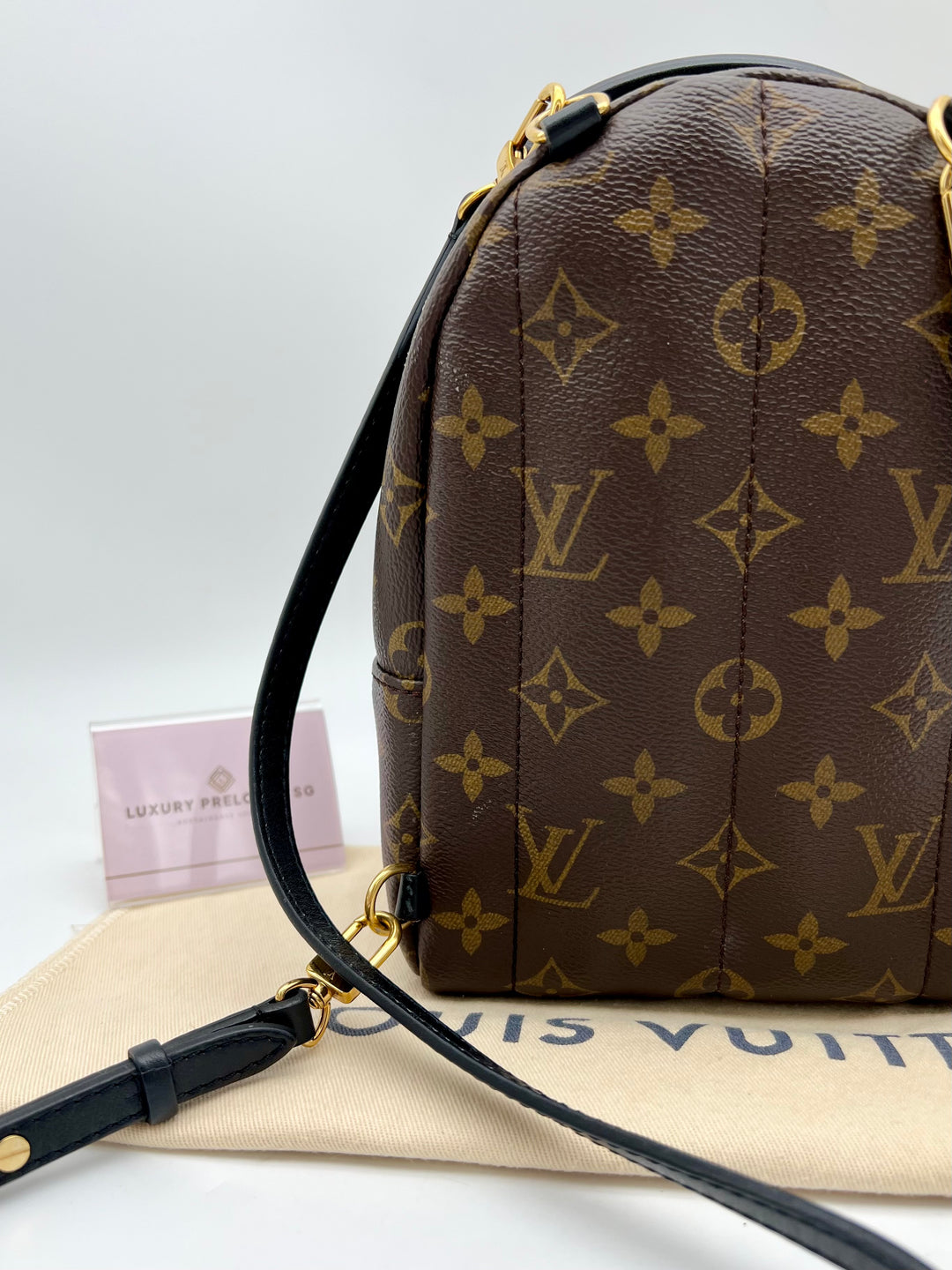LOUIS VUITTON PALM SPRING MINI MONOGRAM