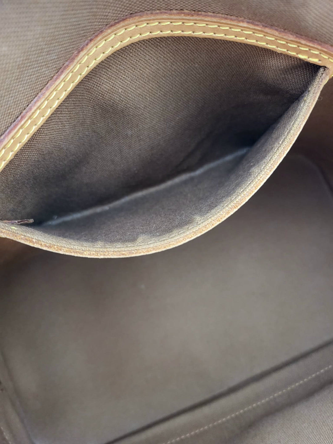 LOUIS VUITTON ALMA PM MONOGRAM