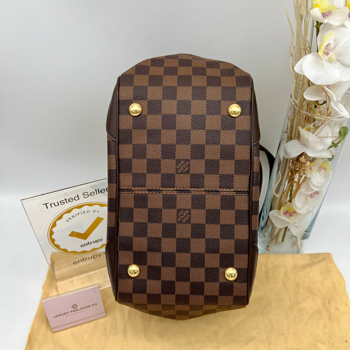 LOUIS VUITTON NAVONA DAMAIER PM