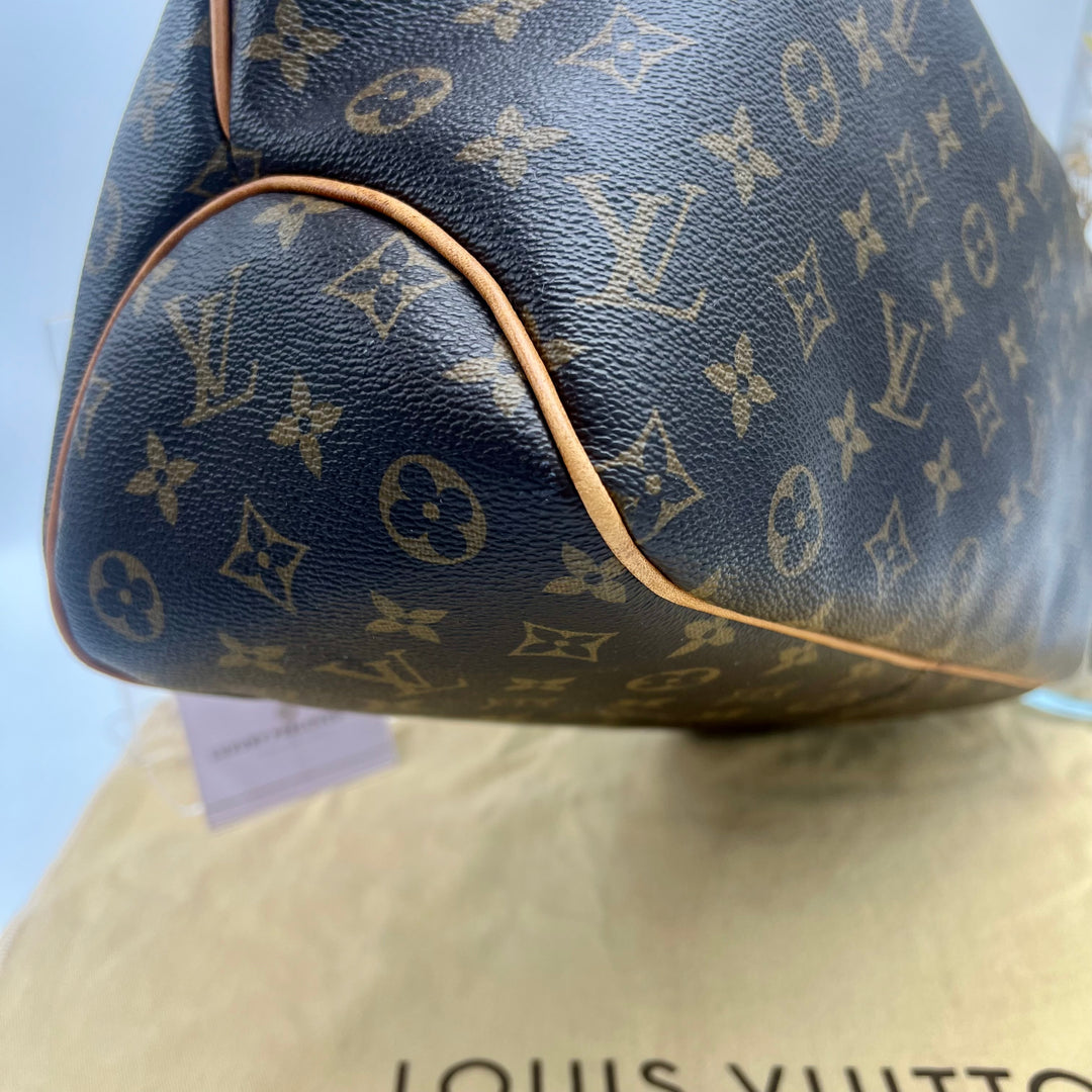 LOUIS VUITTON DELIGHTFUL MONOGRAM MM