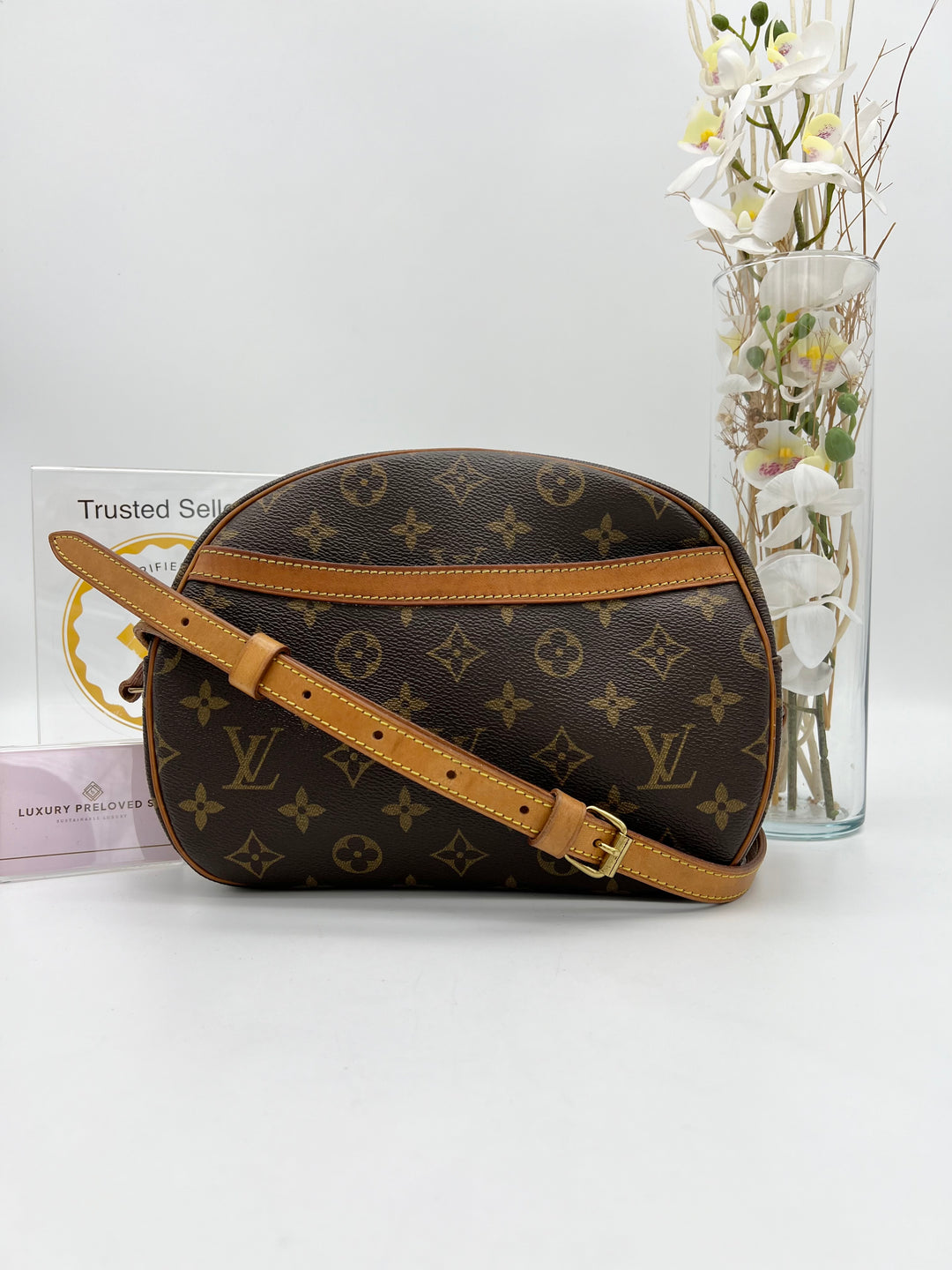 LOUIS VUITTON BLOIS SHOULDER BAG