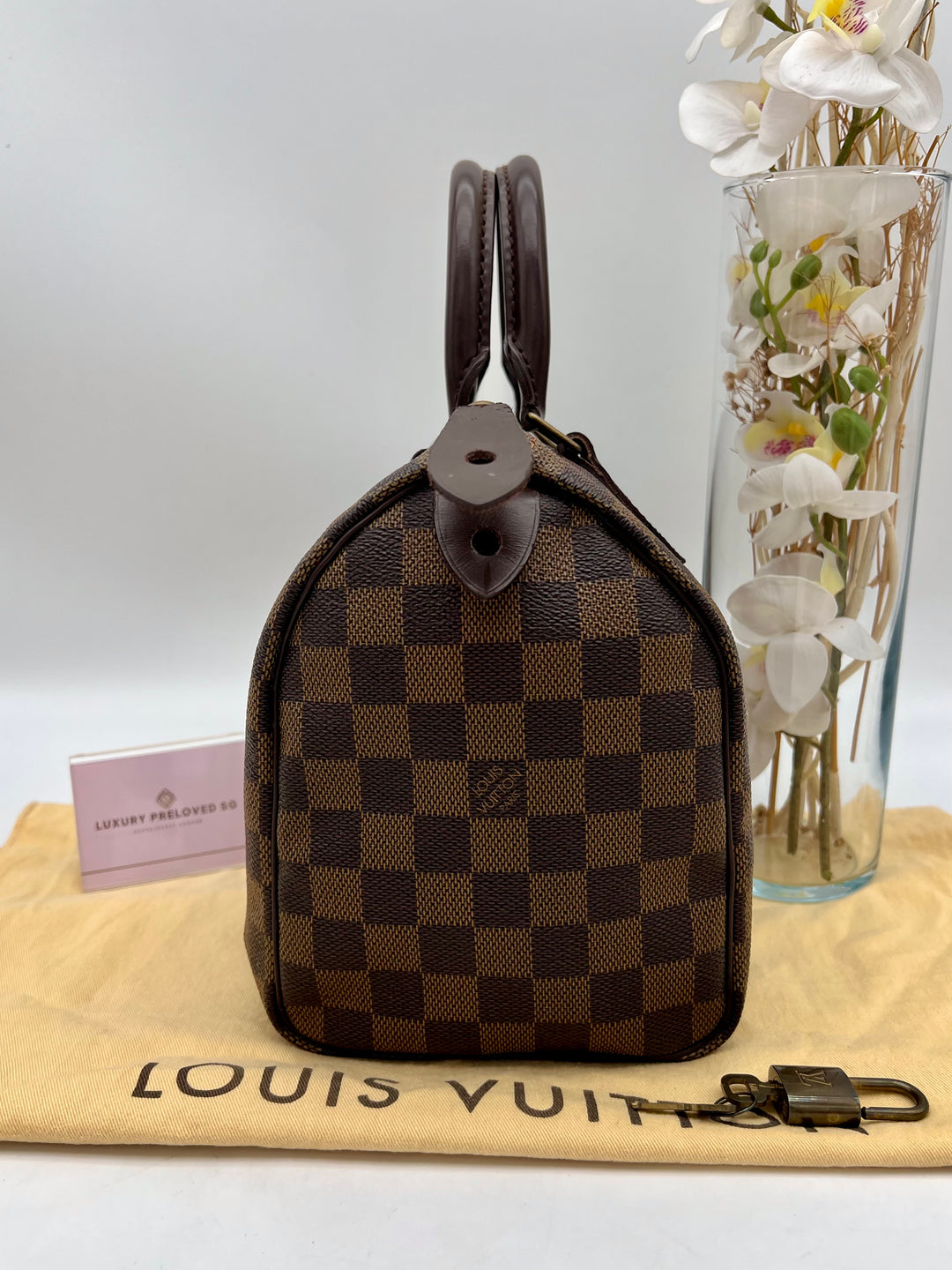 LOUIS VUITTON SPEEDY 25 DAMIER