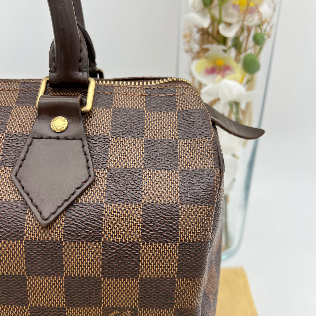 LOUIS VUITTON SPEEDY 25 DAMIER